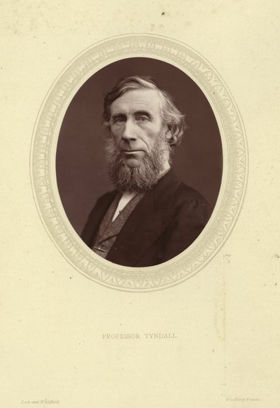 Portrait of John Tyndall by Lock and Whitfield